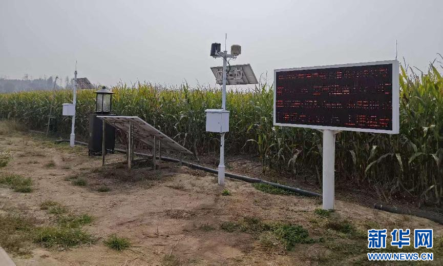 富硒石磨面粉有几多个种(久润源天然富硒石磨面粉)-硒宝网