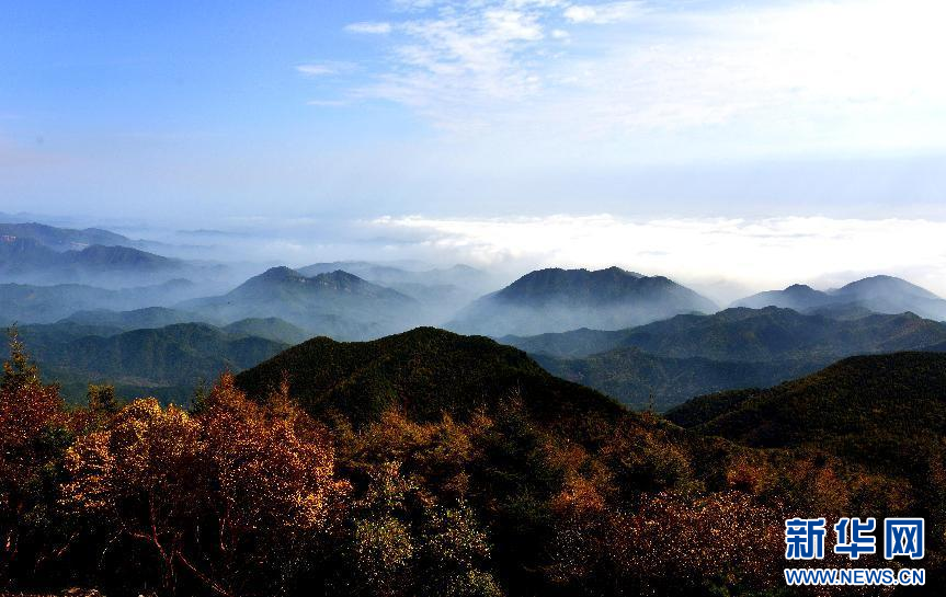 富硒石磨面粉有几多个种(久润源天然富硒石磨面粉)-硒宝网