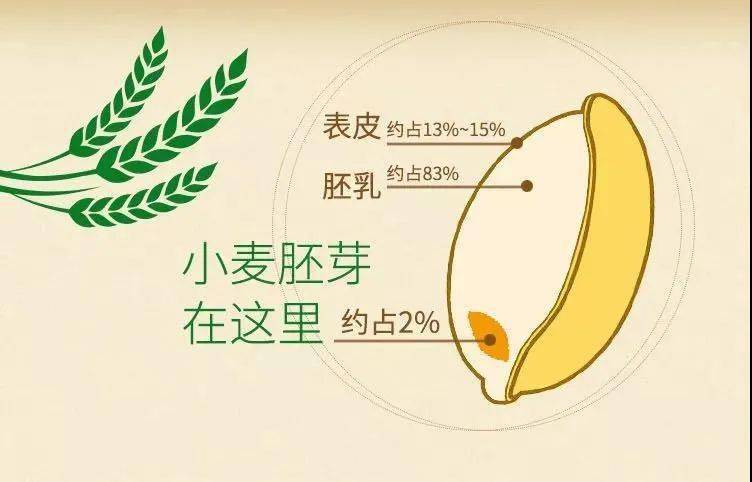 常吃富硒面粉好吗会胖吗(富硒营养面粉好吗)-硒宝网