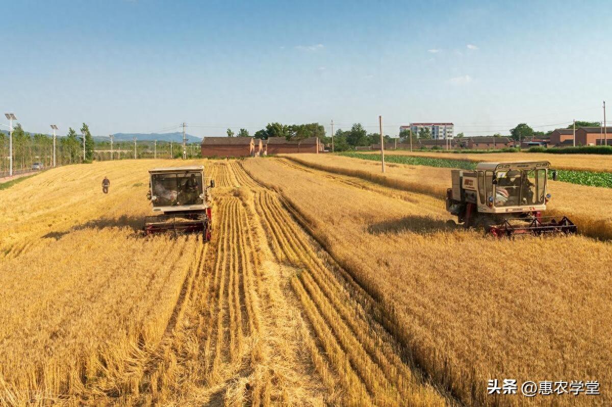 济南富硒面粉多少钱一斤(富硒面粉厂)-硒宝网