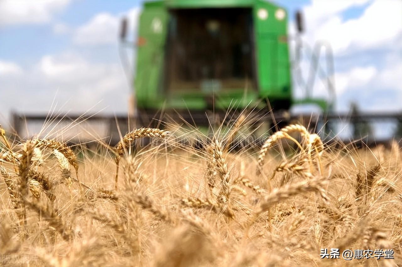 济南富硒面粉多少钱一斤(富硒面粉厂)-硒宝网