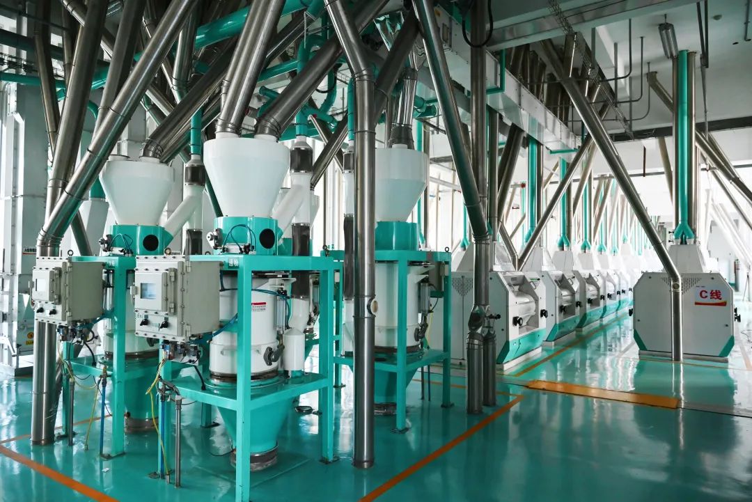 九谷富硒面粉怎么样吃的(富硒面粉对人体有什么好处)-硒宝网