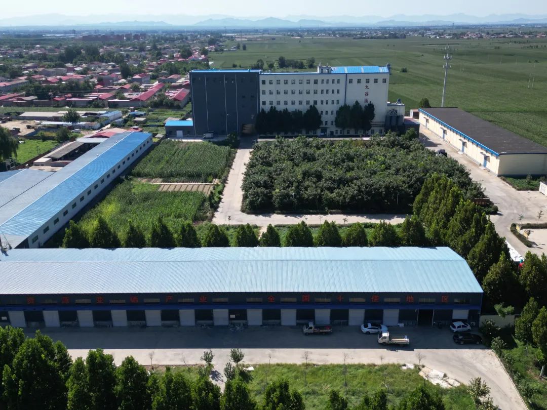 九谷富硒面粉怎么样吃的(富硒面粉对人体有什么好处)-硒宝网