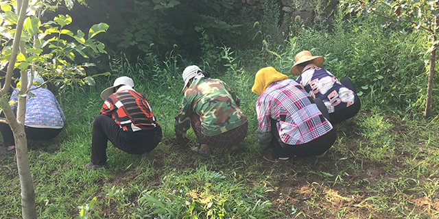 富硒面粉作用多少钱一斤(富硒面粉什么意思)-硒宝网