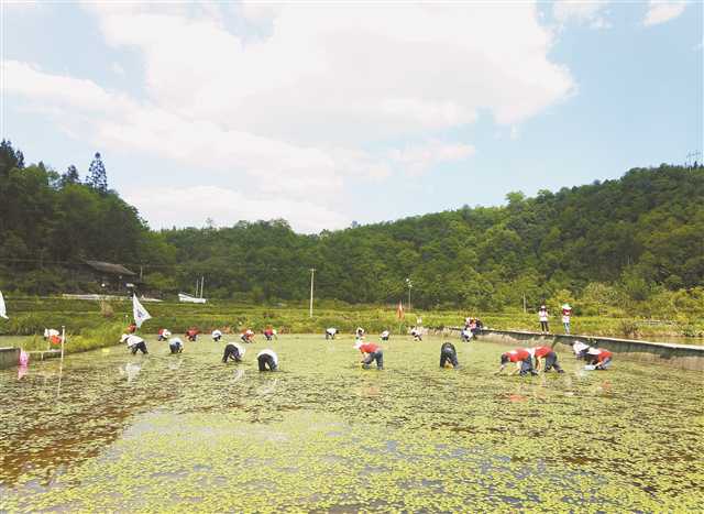 富硒面粉5斤多少钱一袋(富硒面粉缺点)-硒宝网