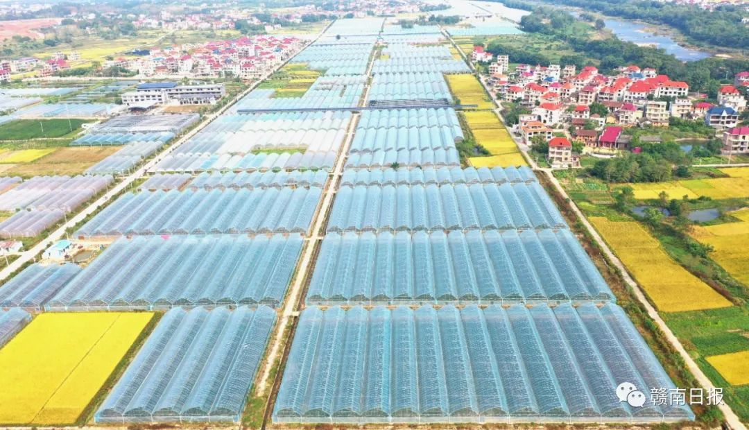 富硒蔬菜生产基地在哪里(蔬菜基地生产富硒食品)-硒宝网