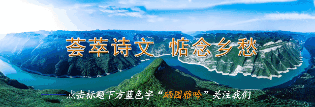 富硒蔬菜项目介绍怎么写（蔬菜富硒标准是多少）-硒宝网