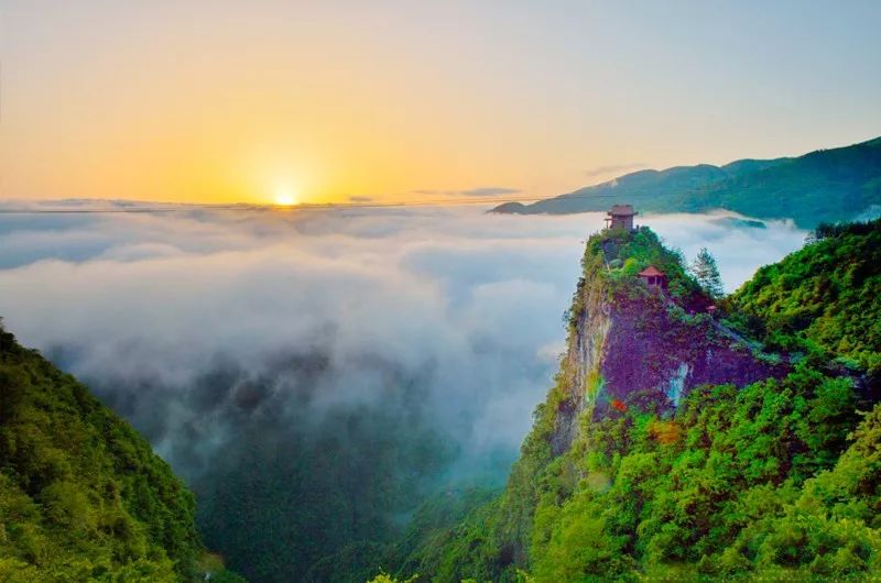 富硒蔬菜项目介绍怎么写（蔬菜富硒标准是多少）-硒宝网