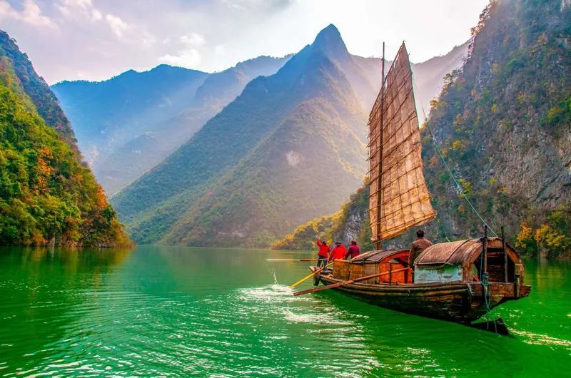 富硒蔬菜项目介绍怎么写（蔬菜富硒标准是多少）-硒宝网