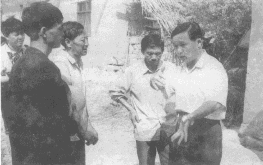 富硒蔬菜项目介绍怎么写（蔬菜富硒标准是多少）-硒宝网