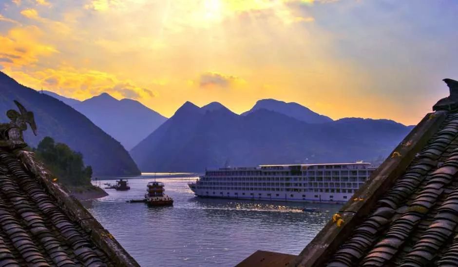 富硒蔬菜项目介绍怎么写（蔬菜富硒标准是多少）-硒宝网