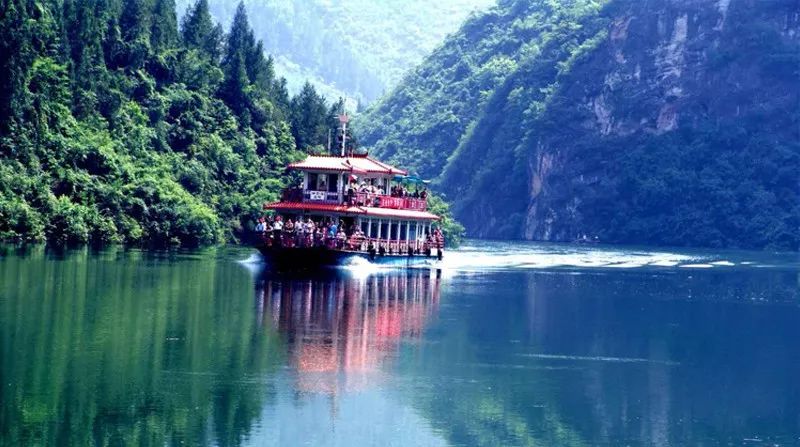 富硒蔬菜项目介绍怎么写（蔬菜富硒标准是多少）-硒宝网