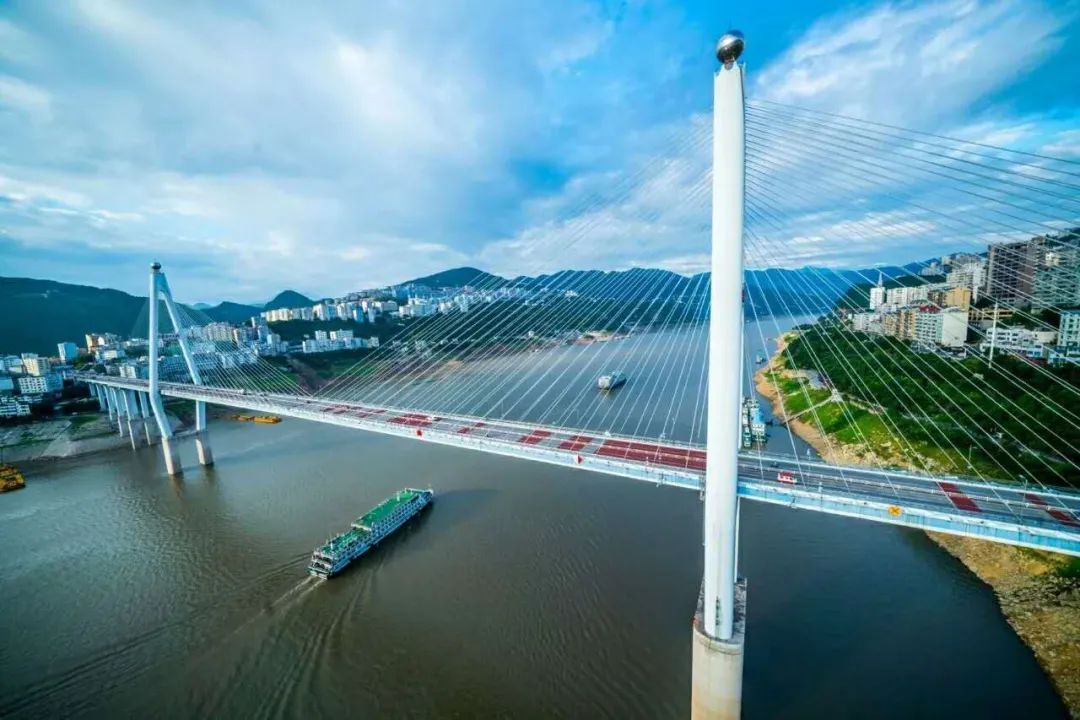 富硒蔬菜项目介绍怎么写（蔬菜富硒标准是多少）-硒宝网