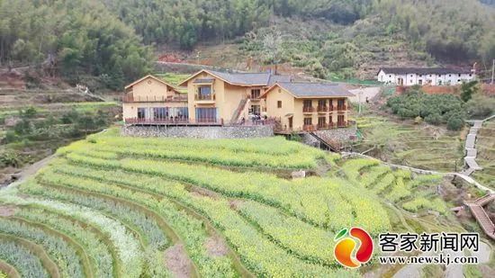 赣州富硒蔬菜的发展历史（江西富硒蔬菜）-硒宝网