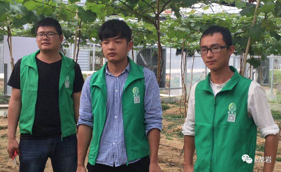 富硒蔬菜项目介绍怎么写(富硒蔬菜的好处)-硒宝网