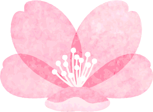 富硒蔬菜项目介绍怎么写（富硒蔬菜有哪些品种）-硒宝网