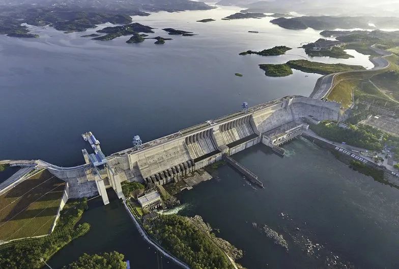 富硒蔬菜项目介绍怎么写（富硒蔬菜有哪些品种）-硒宝网