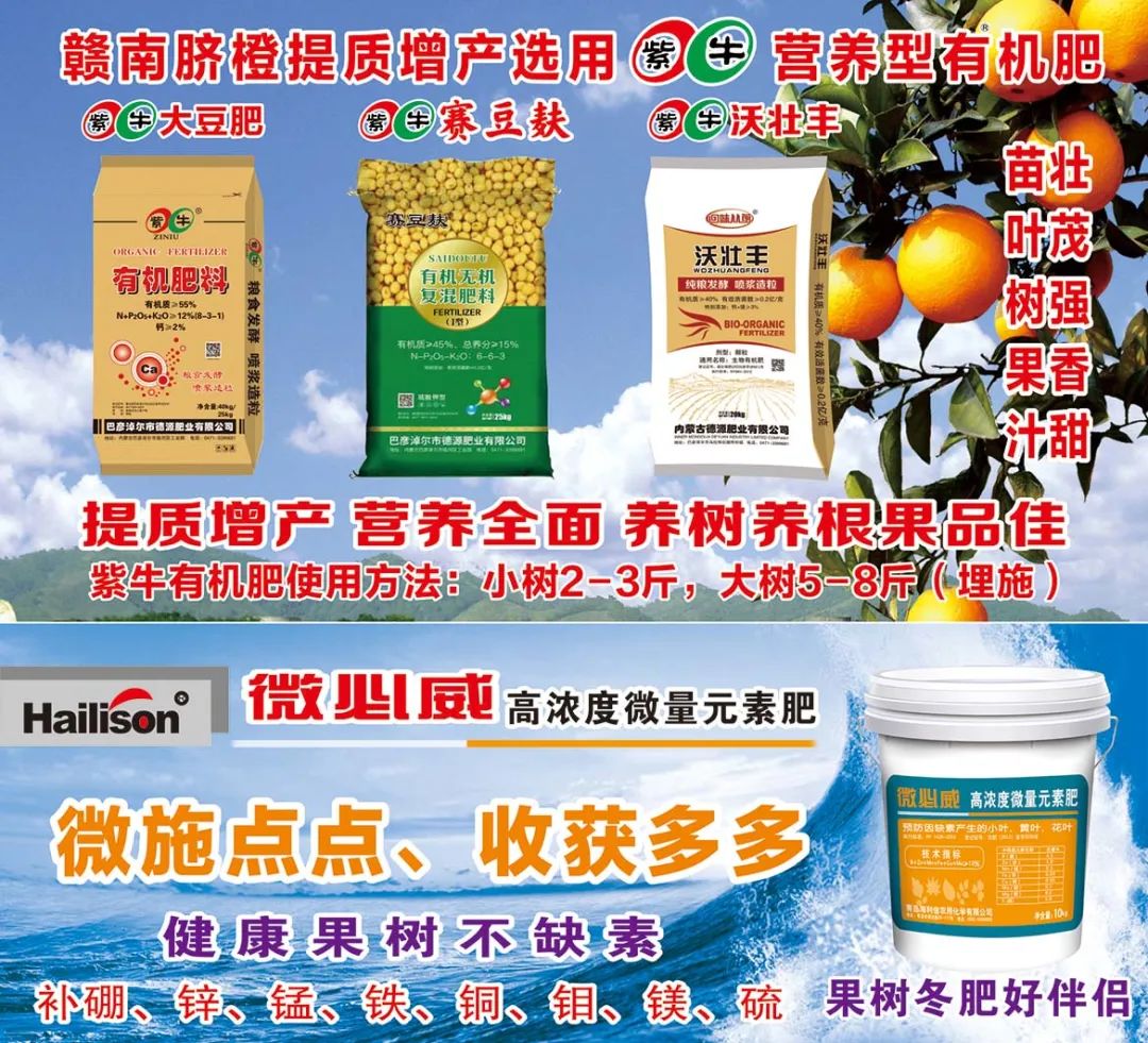 赣州富硒蔬菜的发展历史(赣南富硒绿茶)-硒宝网