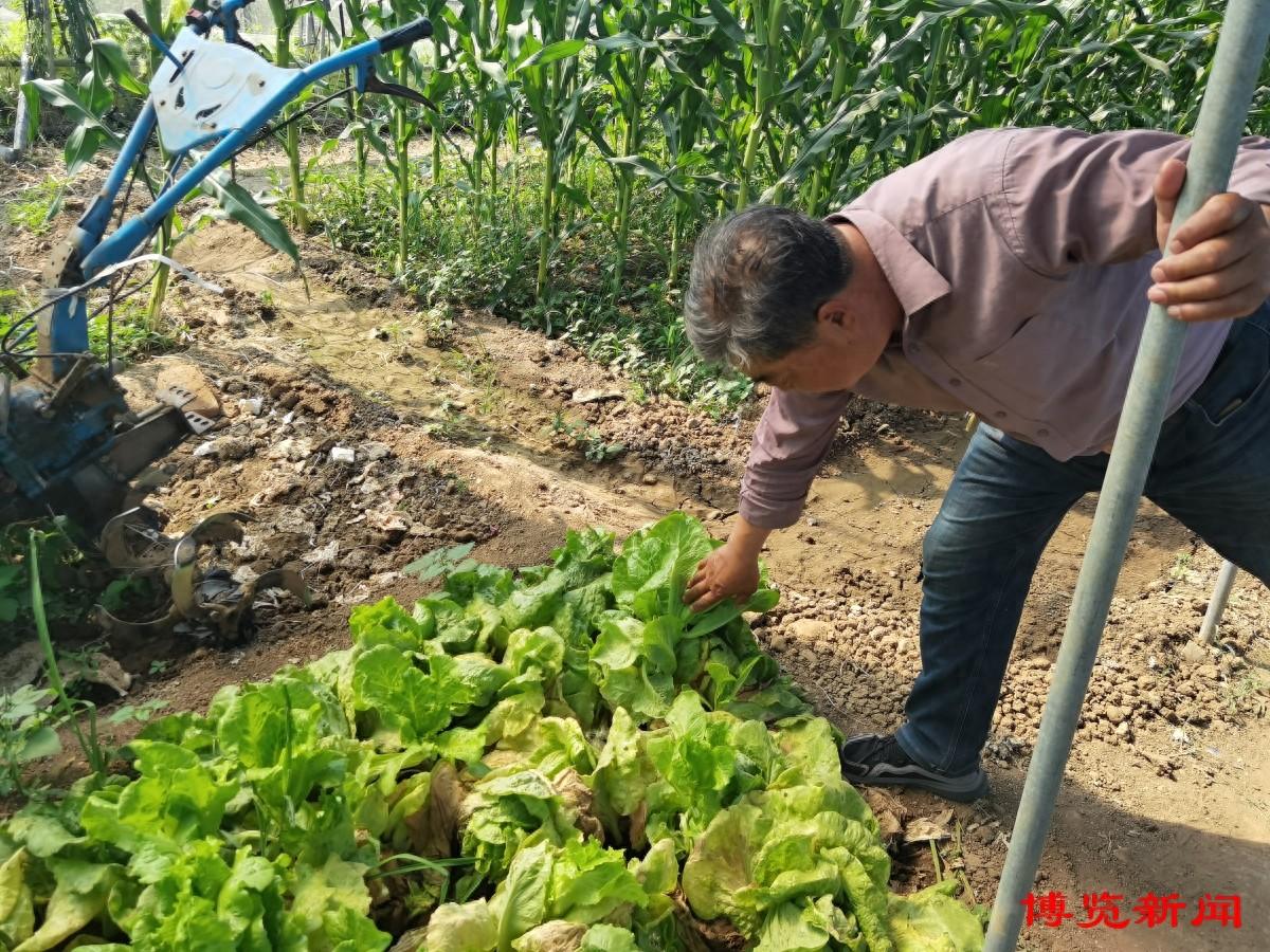 富硒面粉5斤多少钱一袋(富硒面粉对人体有什么好处)-硒宝网