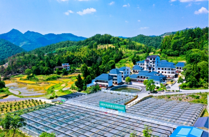 富硒蔬菜是啥品种的蔬菜(富硒蔬菜有哪些品种)-硒宝网