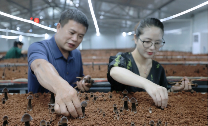 富硒蔬菜是啥品种的蔬菜(富硒蔬菜有哪些品种)-硒宝网