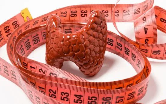 甲状腺吃富硒蔬菜好吗吗(蔬菜甲状腺吃富硒好还是低硒)-硒宝网