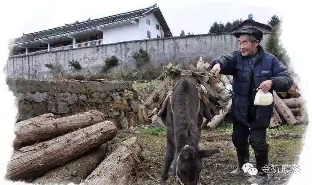 恩施哪里蔬菜富硒含量高(恩施富含硒的食物)-硒宝网