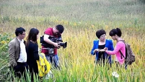 恩施哪里蔬菜富硒含量高(恩施富含硒的食物)-硒宝网