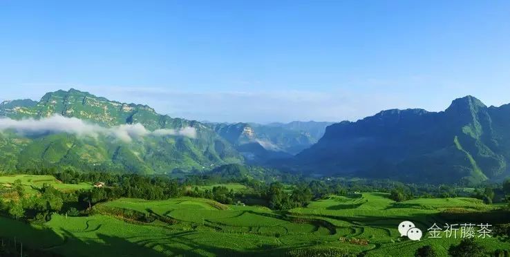 恩施哪里蔬菜富硒含量高(恩施富含硒的食物)-硒宝网