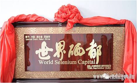 富硒蔬菜的种植技术视频(富硒农产品怎么种)-硒宝网