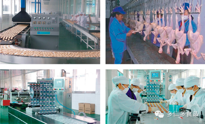 富硒蔬菜的种植技术视频(富硒农产品怎么种)-硒宝网