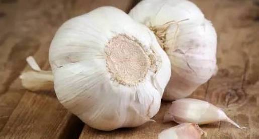 大山深处的富硒水果蔬菜（富硒的水果蔬菜有哪些）-硒宝网