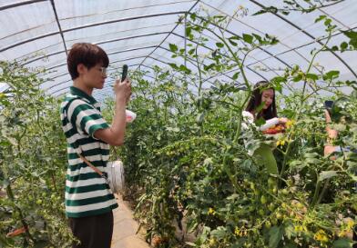 富硒蔬菜是啥品种的蔬菜（蔬菜品种富硒是什么东西）-硒宝网