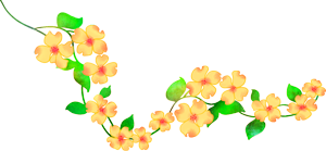 甲状腺吃富硒蔬菜好吗吗（蔬菜甲状腺吃富硒好吗）-硒宝网