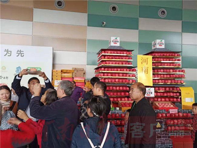 灵宝富硒蔬菜有哪些品牌(富硒蔬菜价格比普通蔬菜)-硒宝网