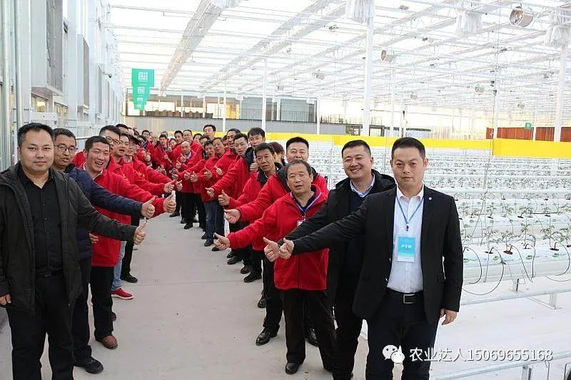 富硒蔬菜的种植技术视频(视频蔬菜种植富硒技术教学)-硒宝网