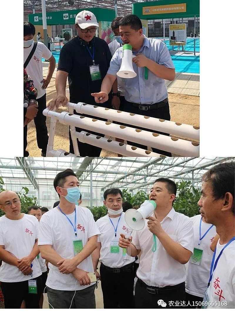 富硒蔬菜的种植技术视频(视频蔬菜种植富硒技术教学)-硒宝网