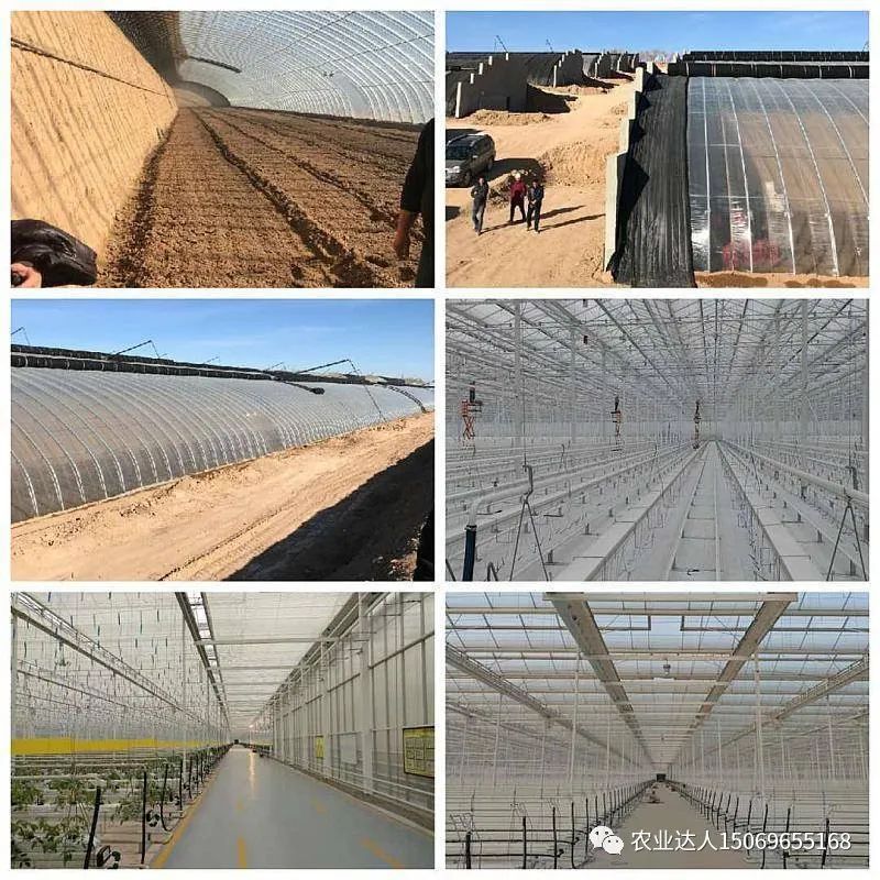 富硒蔬菜的种植技术视频(视频蔬菜种植富硒技术教学)-硒宝网