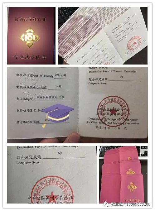 富硒蔬菜的种植技术视频(视频蔬菜种植富硒技术教学)-硒宝网