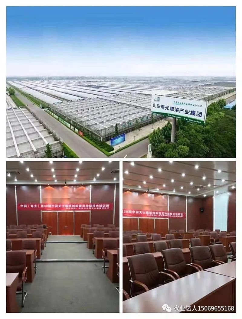 富硒蔬菜的种植技术视频(视频蔬菜种植富硒技术教学)-硒宝网