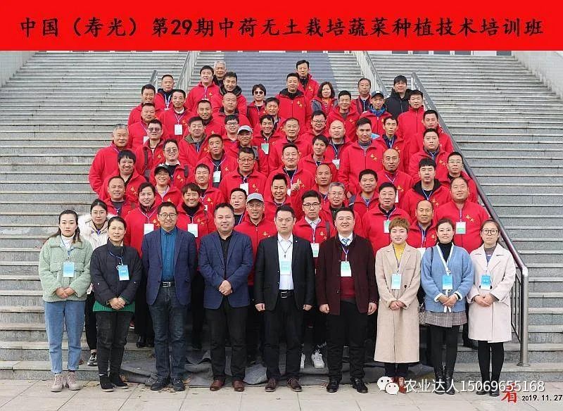 富硒蔬菜的种植技术视频(视频蔬菜种植富硒技术教学)-硒宝网