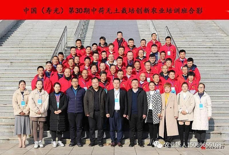 富硒蔬菜的种植技术视频(视频蔬菜种植富硒技术教学)-硒宝网