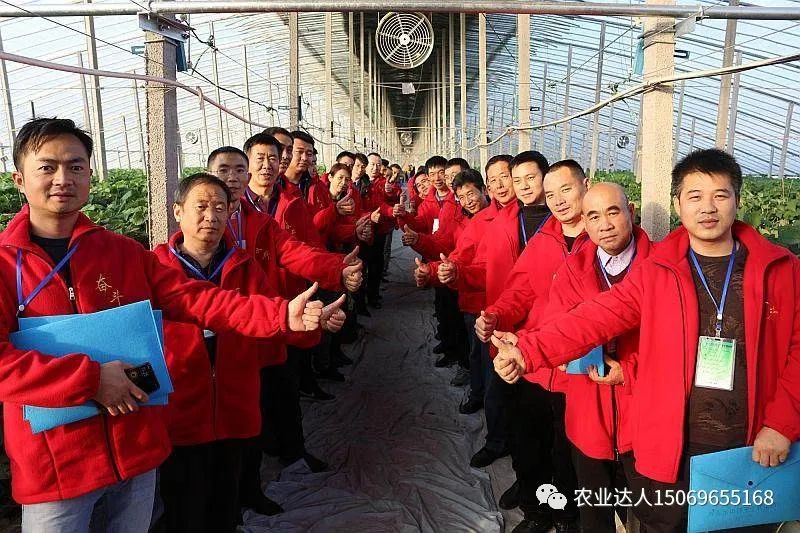 富硒蔬菜的种植技术视频(视频蔬菜种植富硒技术教学)-硒宝网