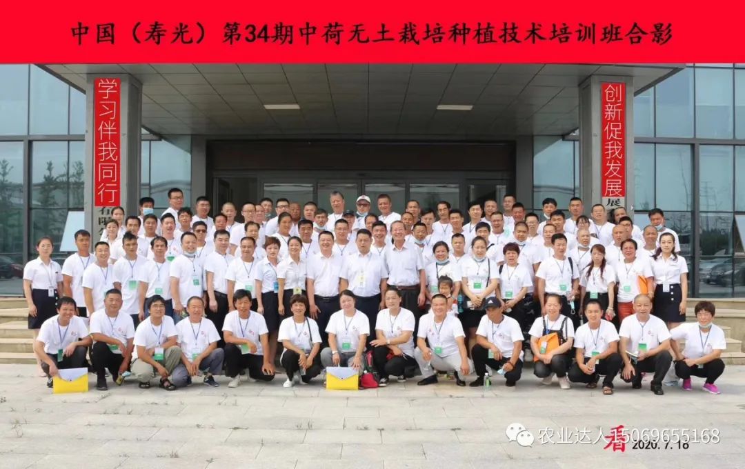 富硒蔬菜的种植技术视频(视频蔬菜种植富硒技术教学)-硒宝网