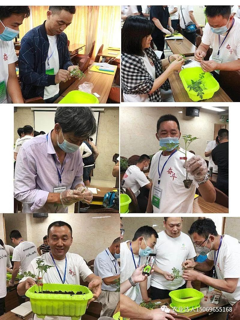 富硒蔬菜的种植技术视频(视频蔬菜种植富硒技术教学)-硒宝网