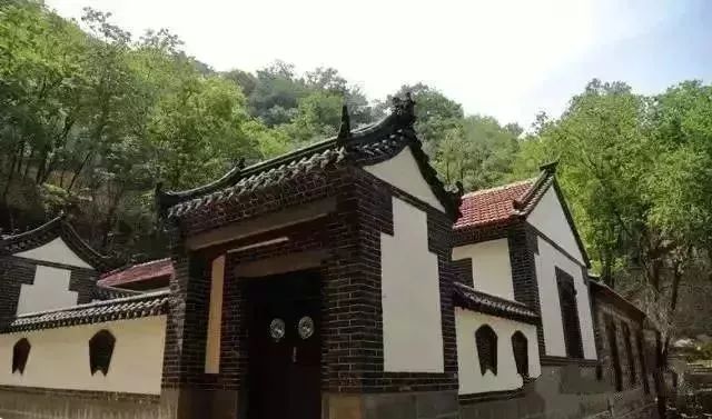 淄川有没有富硒有机蔬菜（富硒蔬菜价格比普通蔬菜）-硒宝网