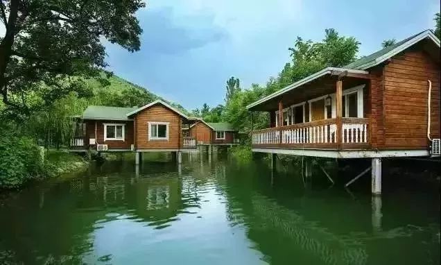 淄川有没有富硒有机蔬菜（富硒蔬菜价格比普通蔬菜）-硒宝网