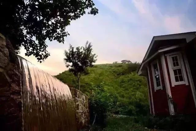 淄川有没有富硒有机蔬菜（富硒蔬菜价格比普通蔬菜）-硒宝网