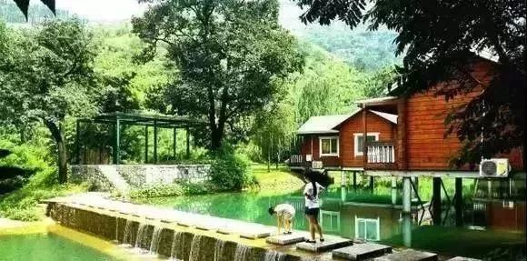 淄川有没有富硒有机蔬菜（富硒蔬菜价格比普通蔬菜）-硒宝网