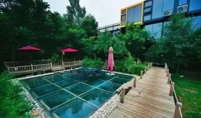 淄川有没有富硒有机蔬菜（富硒蔬菜价格比普通蔬菜）-硒宝网